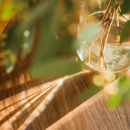 Flattered To Be In Oporto