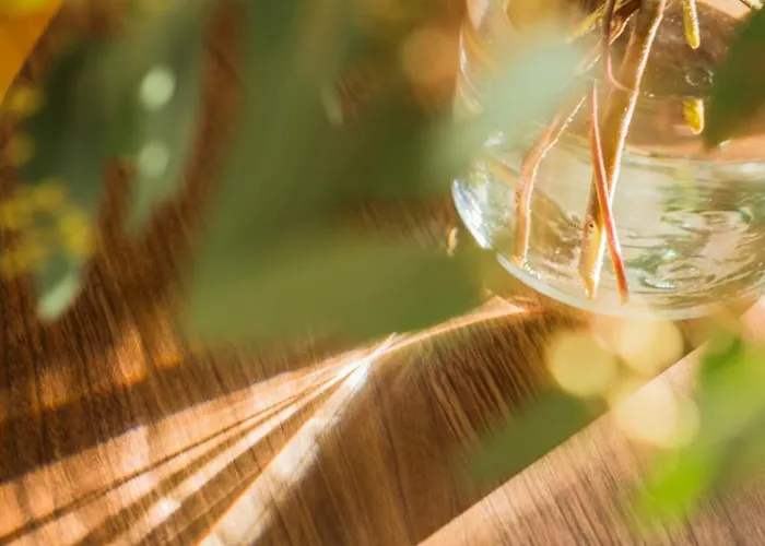 Flattered To Be In بورتو