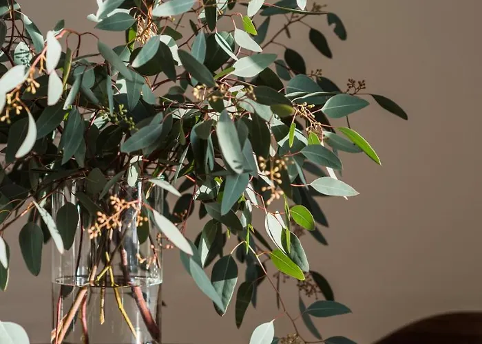 شقة Flattered To Be In